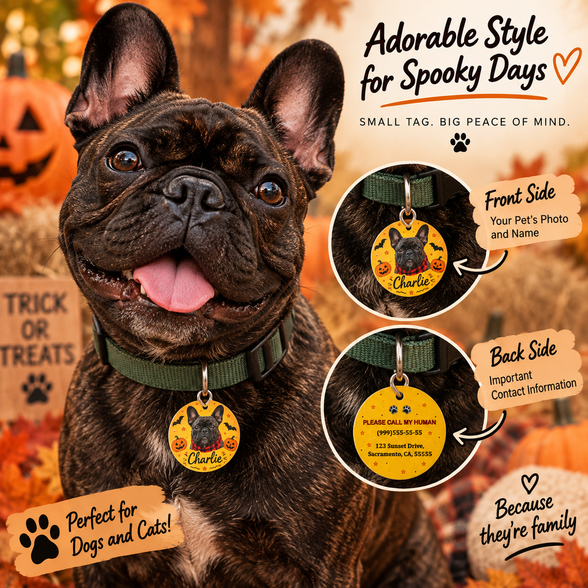 Halloween Pet ID Tag with Photo | Custom Dog & Cat Tag
