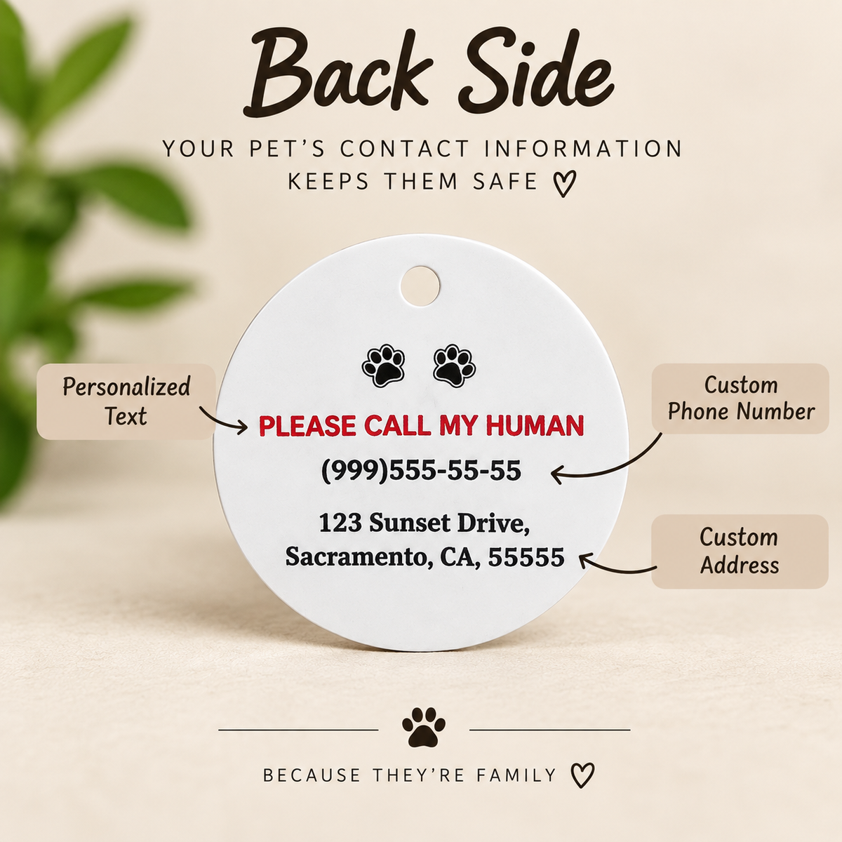 Personalized Pet ID Tag with Photo | Custom Dog & Cat Tag