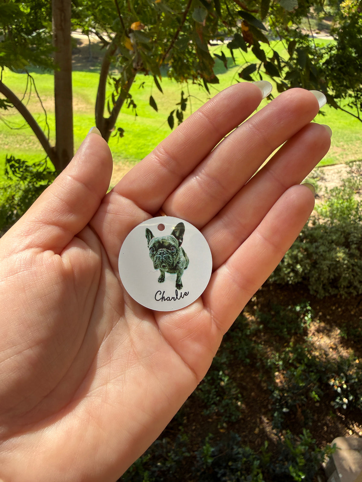 Personalized Pet ID Tag with Photo | Custom Dog & Cat Tag