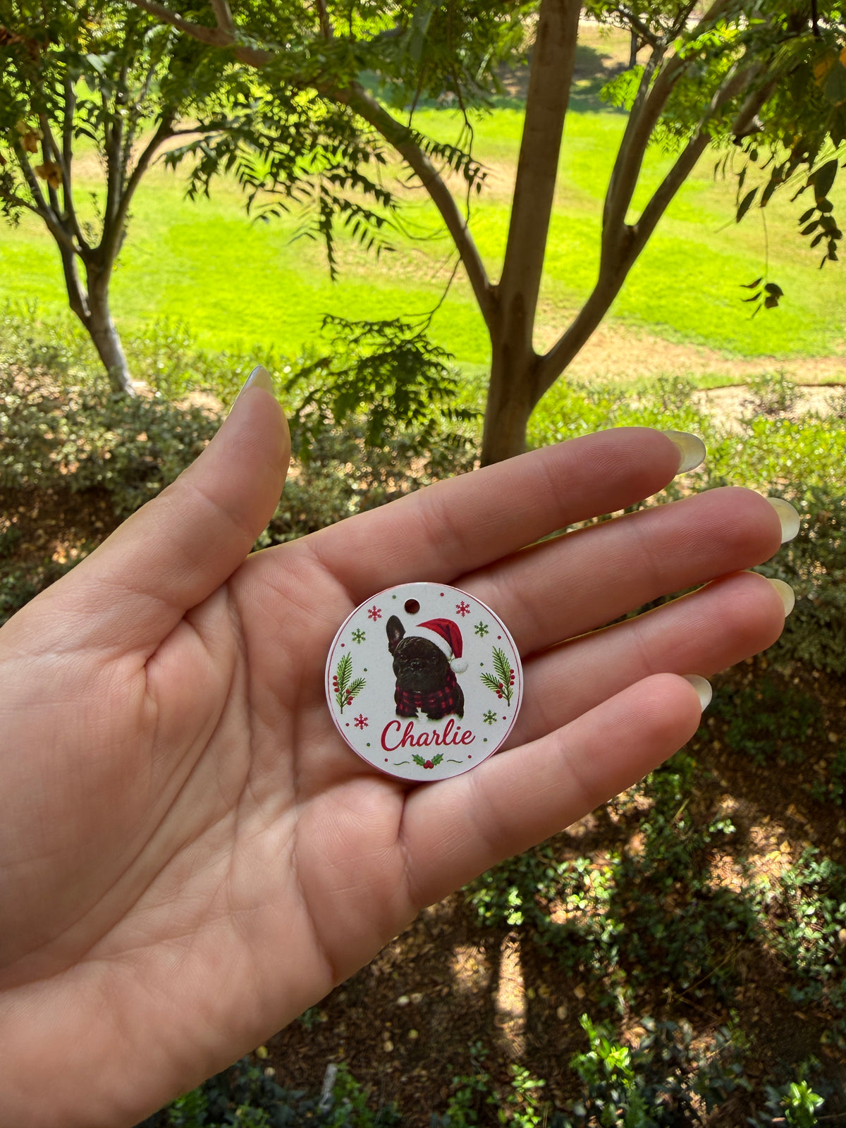 Christmas Pet ID Tag with Photo | Custom Dog & Cat Tag