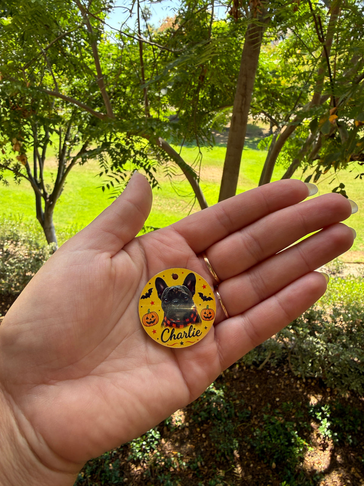 Halloween Pet ID Tag with Photo | Custom Dog & Cat Tag