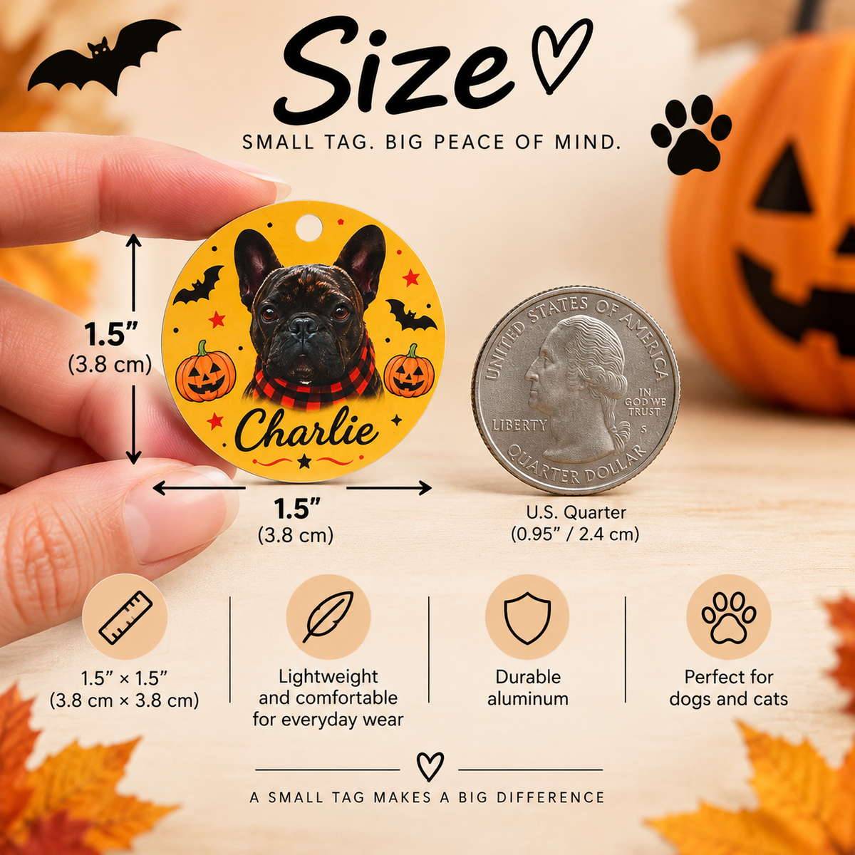 Halloween Pet ID Tag with Photo | Custom Dog & Cat Tag