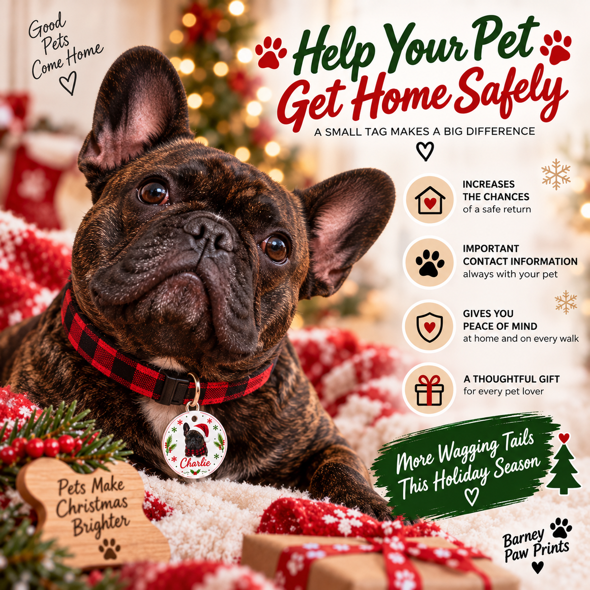 Christmas Pet ID Tag with Photo | Custom Dog & Cat Tag
