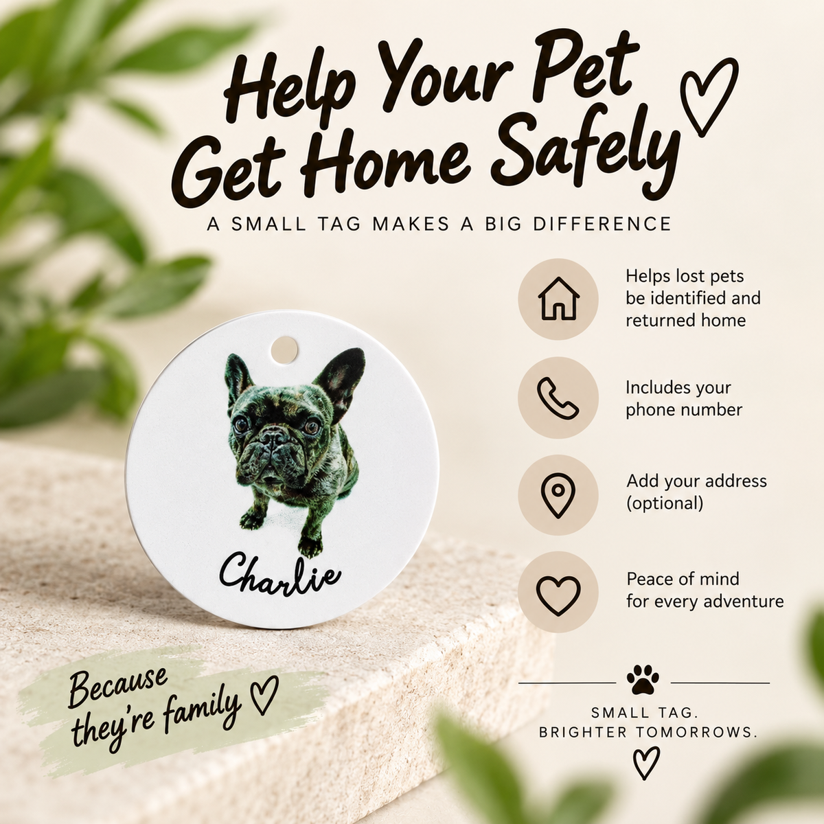 Personalized Pet ID Tag with Photo | Custom Dog & Cat Tag